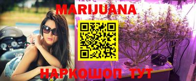 трава Новозыбков