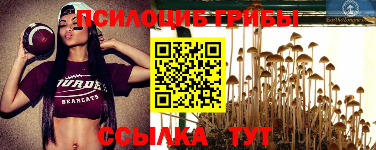 Псилоцибиновые грибы Psilocybe  Вход с VPN  Сердобск 