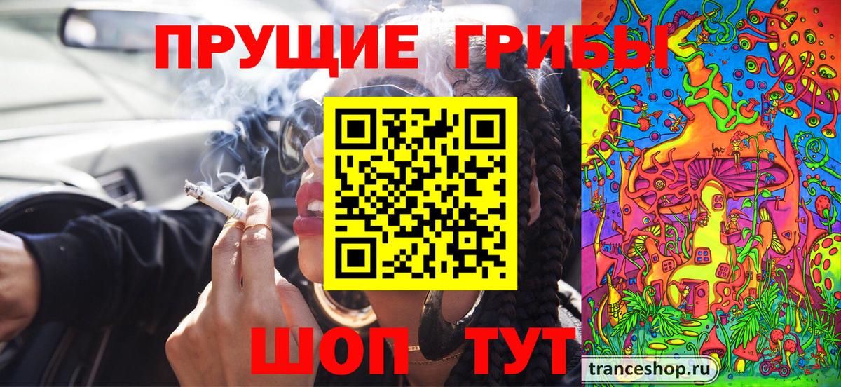 Галлюциногенные грибы прущие грибы Сердобск